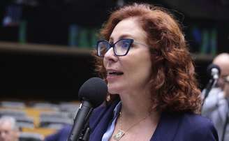 A ex-deputada federal Carla Zambelli (PL-SP)