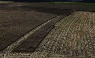 Plantio de trigo no Brasil
23/04/2013
REUTERS/Nacho Doce