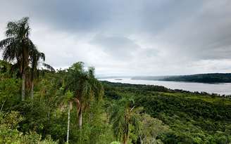 Um time de arqueólogos argentinos descobriu ruínas na selva da Argentina, próximo à fronteira do Paraguai, que podem ter sido construídas secretamente pelo regime nazista