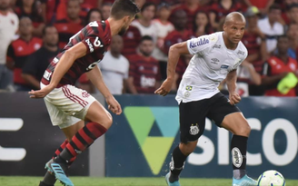 Santos e Flamengo voltam a se enfrentar (Foto: Ivan Storti/Santos)