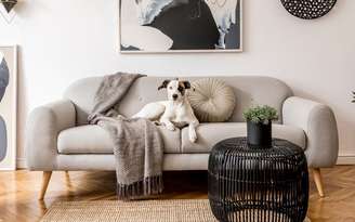 Dicas para escolher o sofá ideal para a sua casa