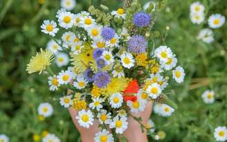 As flores são elementos que fortalecem os signos - Shutterstock.
