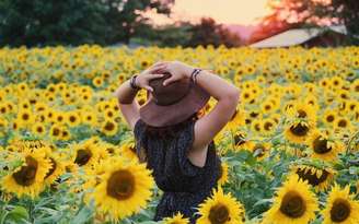 Descubra os inúmeros benefícios que uma única flor pode trazer para a sua vida - Foto de Noelle Otto no Pexels