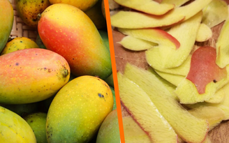 Directo al paladar México