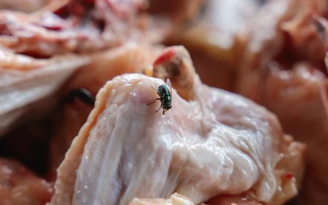 Constantine Johnny/GettyImages