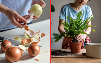 MalyDesigner/Getty e Dmitrii Marchenko/GettyImages