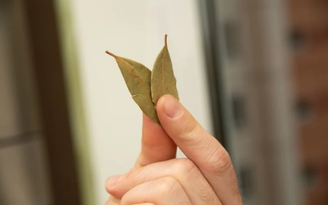 Aksakalko/GettyImages