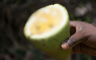 Daniela968/GettyImages