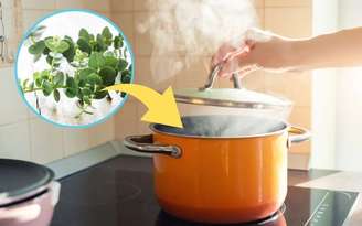 Esse hábito antigo que perfuma o ambiente, melhora a respiração e ajuda a reduzir o estresse. /