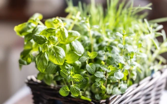 SimpleImages/GettyImages