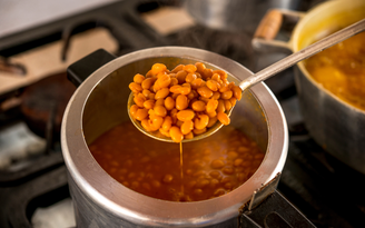 henrique ferrera/shutterstock