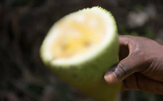 Daniela968/GettyImages