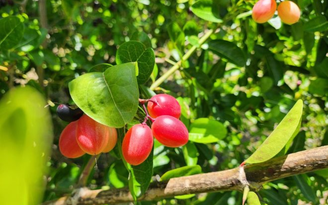 successo images/shutterstock