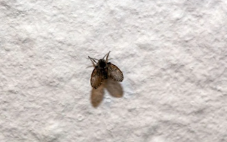 weisschr/GettyImages