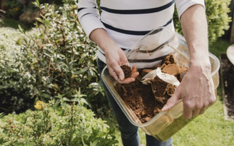 DGLimages/GettyImages