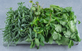 Freepik/azerbaijão_stockers