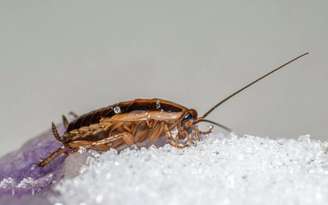 Às vezes, a solução está bem mais perto (e é bem mais simples) do que a gente imagina. /