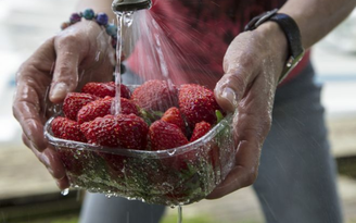 Holger Leue/GettyImages
