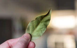 Reflexpixel/GettyImages