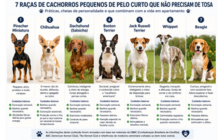 Cachorros pequenos de pelo curto