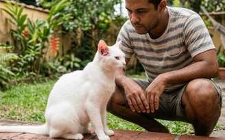 Doença do gato