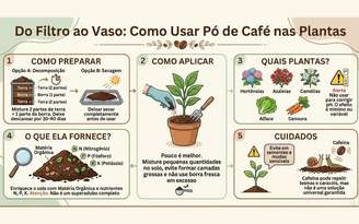 Como usar pó de café nas plantas