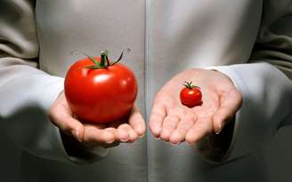 Fitoeno / Canva