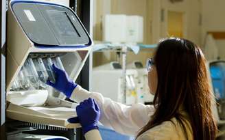 Foto/ National Cancer Institute