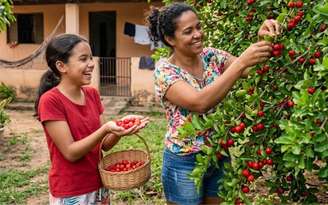 Benefícios da acerola