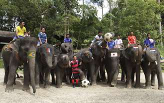 Província de Chiang Mai da Tailândia teve "promoção" do Mundial com elefantes