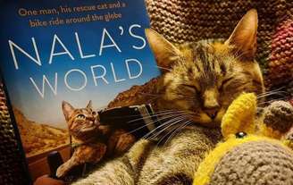 O livro sobre as viagens da gatinha Nala foi publicado no dia 29 de setembro deste ano