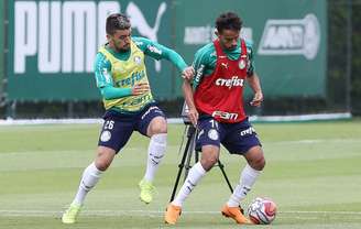 Gustavo Scarpa vive a expectativa de estar à disposição para estreia na Libertadores (Agência Palmeiras/Divulgação)