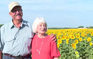 Homem planta mais de 1 milhão de girassóis para a mulher pelo aniversário de casamento