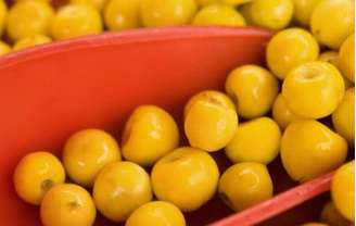 Conheça os benefícios do nanche para a saúde