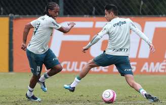 Keno e Diogo Barbosa devem perder os próximos três jogos do Palmeiras (Foto: Cesar Greco)