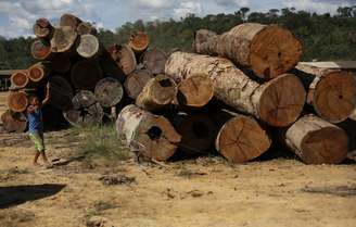 Garoto empina pipa ao lado de madeira extraída da Amazônia no Pará
27/06/2013 REUTERS/Nacho Doce