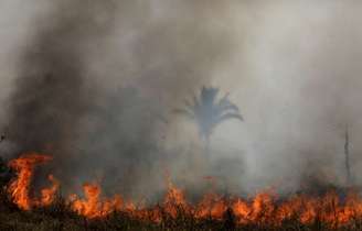 Vista de queimada na flotesta amazônica perto de Porto Velho 