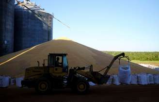 Grãos de milho após colheita da segunda safra em Sorriso (MT) 
26/07/2017
REUTERS/Nacho Doce