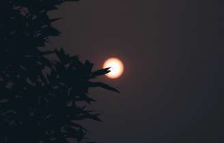 Ressaca pós-eclipse