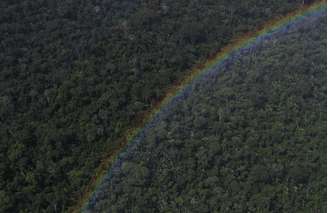 Floresta amazônica perto de Santarém, Pará 20/4/2013 REUTERS/Nacho Doce 