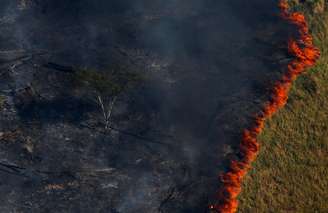 Floresta em chamas em Apuí (AM) 04/08/2017