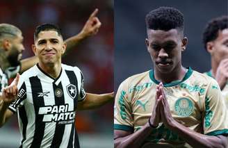 Botafogo e Palmeiras têm chances de título na última rodada