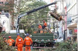 Queda de árvore fecha Rua Haddock Lobo e deixa imóveis da região sem luz.