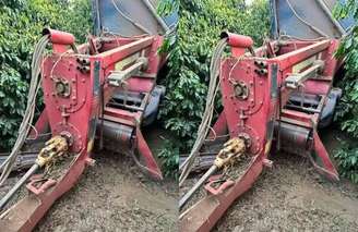 Homem morre em acidente com colheitadeira em MG