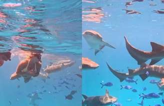 Aryna Sabalenka mergulha com tubarões