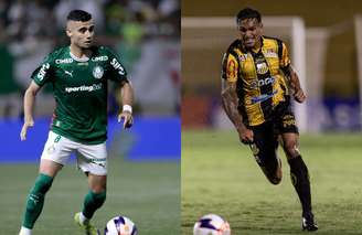 Palmeiras e Novorizontino fazem a final do Paulistão