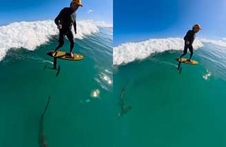 Surfista passa por tubarão durante treinamento