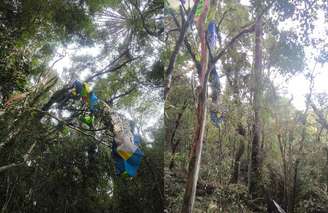 Homem morre em queda de ultraleve no Rio Grande do Sul