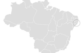 A perda quase total das florestas entre Pernambuco e Alagoas é apontada como o principal fator para o possível desaparecimento da limpa-folha-do-Nordeste – Wikimedia Commons/Cephas