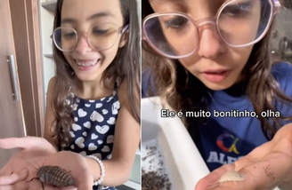 Alice, de Ponta Grossa (PR), cria animais encontrados no quintal 